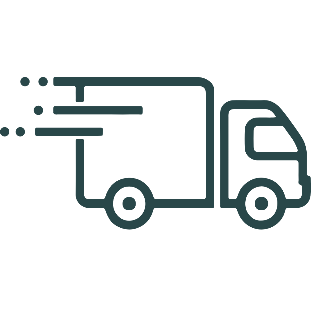 Fast Shipping Icon